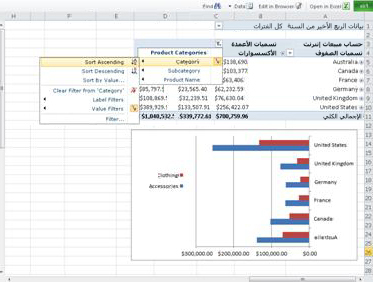 Excel Web App