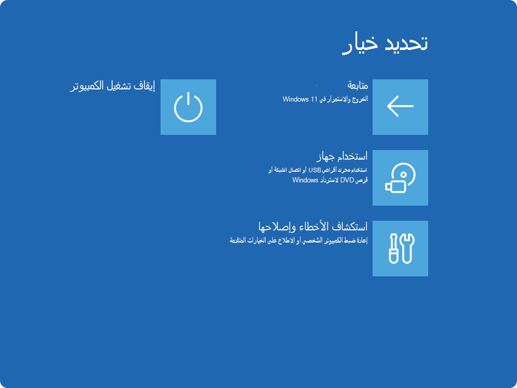 لقطة شاشة لشاشة اختيار خيار في Windows RE.