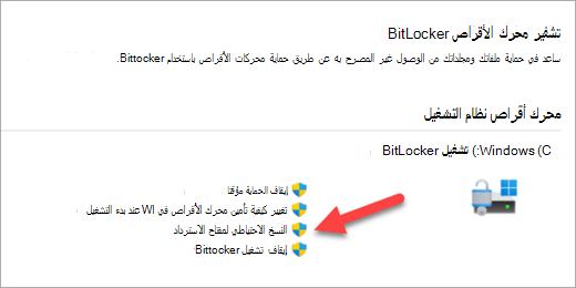 تطبيق إدارة تشفير BitLocker مع سهم يشير إلى خيار النسخ الاحتياطي لمفتاح استرداد BitLocker.
