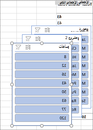 عوامل تصفية مقسم طريقة العرض على ورقة عمل في Excel.