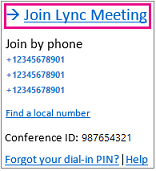 دعوة للاجتماع مع تمييز "الانضمام إلى اجتماع Lync"