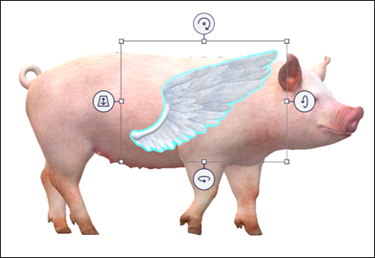 نماذج الجناح والخنازير على الشاشة.