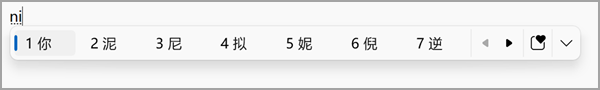 نافذة مرشح تحويل Pinyin.