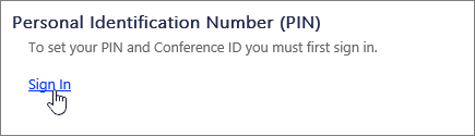 رمز PIN لتسجيل الدخول إلى إعدادات الطلب ل Skype