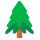 رمز مشاعر شجرة دائمة الخضرة