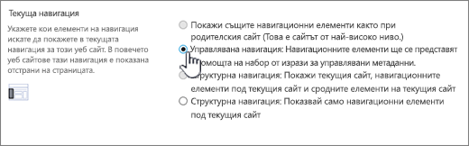 Текуща секция за навигация с избрана управлявана навигация