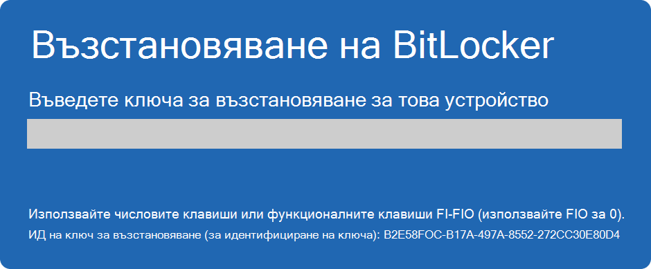 Екранна снимка на екрана за възстановяване на BitLocker.