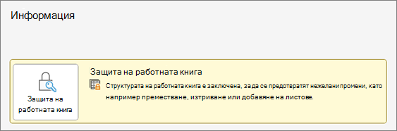 Защита на работната книга под менюто Информация