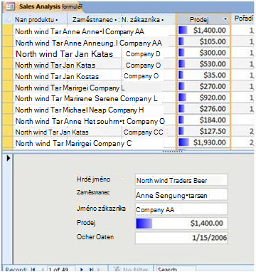 displays data bars in a split form view