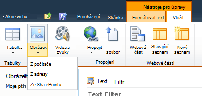 Na pásu karet klikněte na tlačítko obrázek a vyberte z počítače, adresy nebo SharePointu.