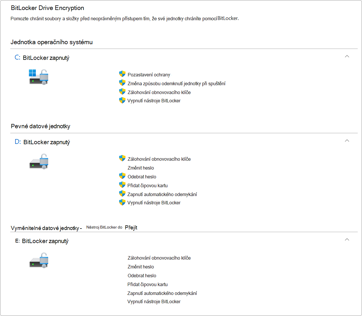 Snímek obrazovky s nástrojem BitLocker Drive Encryption v Ovládacích panelech