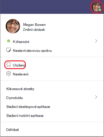 Chat uložený profil