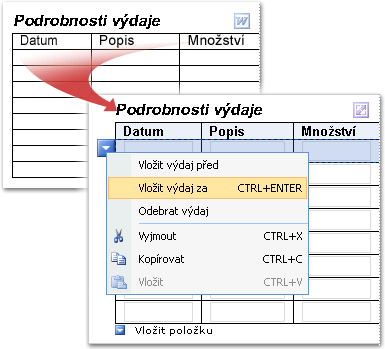 Tabulka aplikace Word, která byla převedena na tabulku s opakováním aplikace InfoPath
