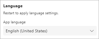 V části Jazyk aplikace je uvedeno Angličtina (USA)