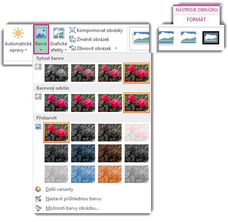 Nabídka tlačítka Barva otevřená pomocí karty Formát pod nadpisem Nástroje obrázku