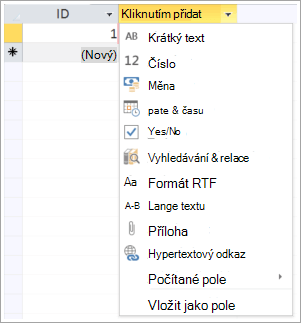 fragment obrazovky rozevíracího seznamu Kliknutím přidáte datový typ