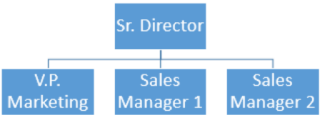 Jednoduchý organizační diagram