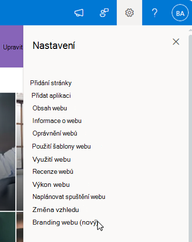 snímek obrazovky s položkou brandingu webu