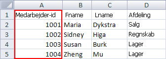 Excel-tabel med data om medarbejdere