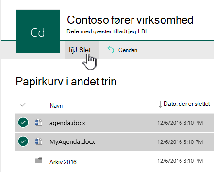 Papirkurv på andet niveau i SharePoint Online med knappen Slet fremhævet