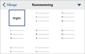 Kommandoen Nummerering udvidet, der viser formateringsindstillinger