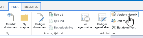 Fanen filer med Versionshistorik fremhævet