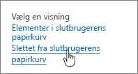 Papirkurv i SharePoint 2013 med Slet fra bruger fremhævet