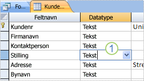 Kontroller datatypen i det joinforbundne felt i tabeldesign