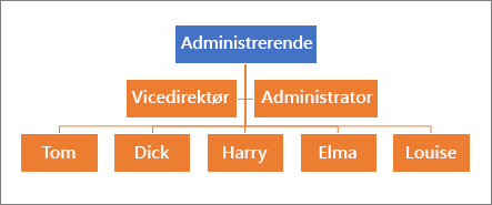 Et typisk hierarki