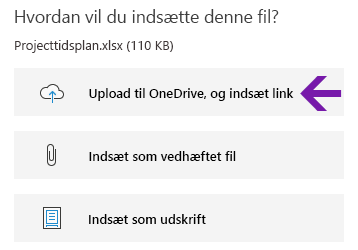 Indstillinger for filtilføjelse i OneNote til Windows 10
