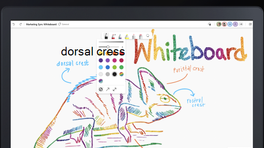 Du kan bruge en række forskellige håndskriftsværktøjer til at tegne på et whiteboard.