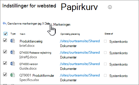 Papirkurv på andet niveau i SharePoint 2013 med alle elementer markeret og knappen Slet fremhævet