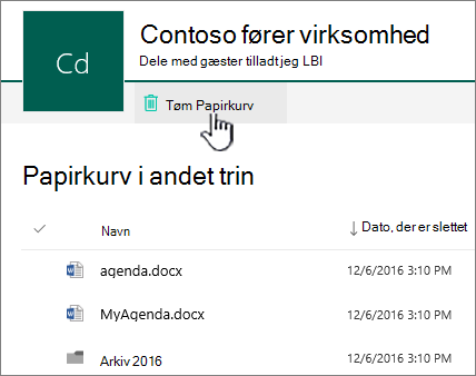 Papirkurv på andet niveau i SharePoint Online med knappen Tøm papirkurv fremhævet