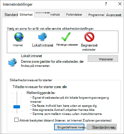 Fanen Sikkerhed i Internet Explorer-indstillinger, der viser knappen Brugerdefineret niveau