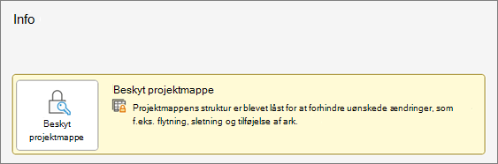 Beskyt projektmappe under menuen Oplysninger