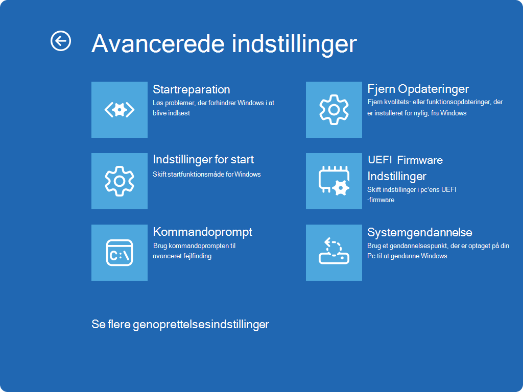 Skærmbillede af Windows RE – skærmbilledet Avancerede indstillinger.