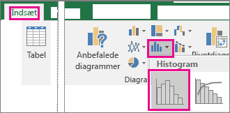 Kommandoen Histogram fra knappen Indsæt statistikdiagram
