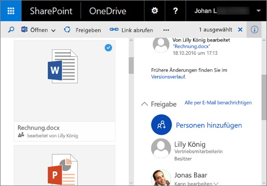 Screenshot des Detailbereichs in OneDrive for Business in SharePoint Server 2016 mit Feature Pack 1