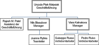 Shapes, auf deren oberen Rand die Geschäftsführer aufgestellt, die Manager horizontal darunter ausgerichtet und die untergeordneten Positionen vertikal unter den Managern angeordnet sind.