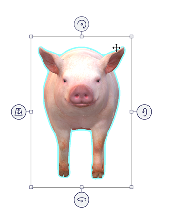 Ausgewähltes Pig-Modell mit Bewegungspfeilen.