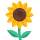 Sonnenblumen-Emoticon