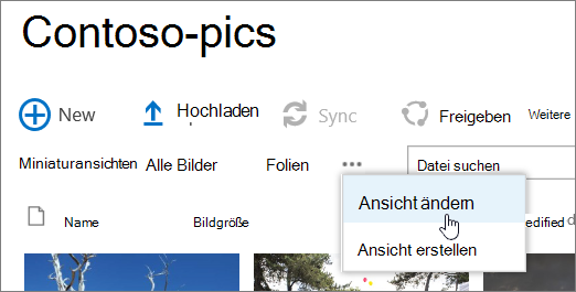 Ansichtsleiste der Bildbibliothek mit ausgewählter Option "Ansicht ändern"