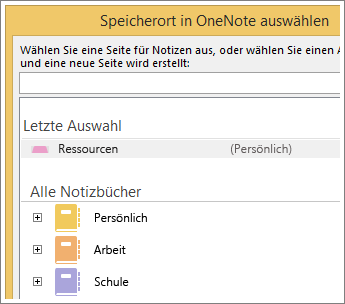Screenshot des OneNote-Fensters, in dem Sie die Seite für die Skype-Notizen auswählen können.