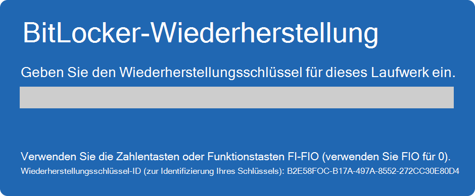 Screenshot des BitLocker-Wiederherstellungsbildschirms.