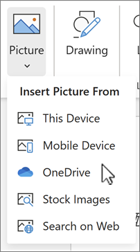 Bild zum Einfügen aus OneDrive