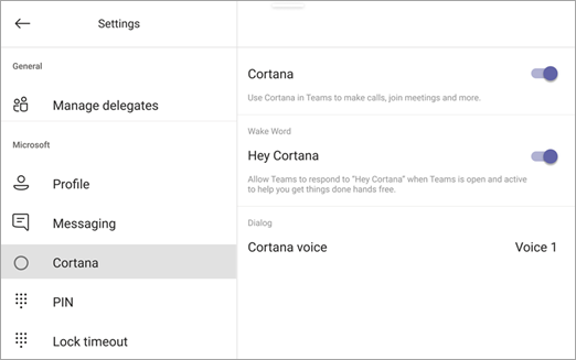 Cortana-Optionen