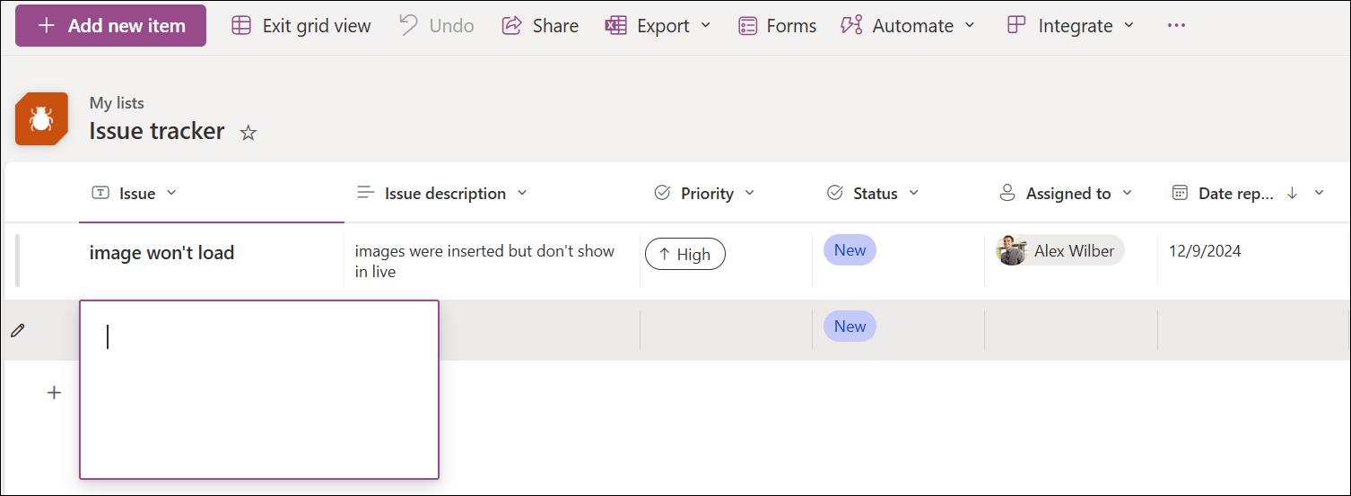 Screenshot der Eingabe eines neuen Elements in der Rasteransicht