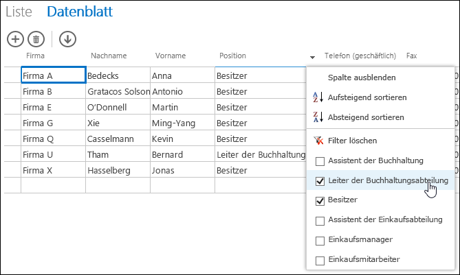 Filter options for Job Title column in datasheet