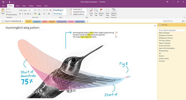 download onenote for mac without app store