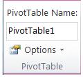 Gruppe 'PivotTable' auf der Registerkarte 'Optionen' unter 'PivotTable-Tools'